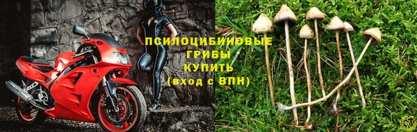 трава Баксан