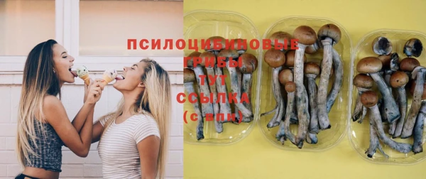 a pvp Осташков